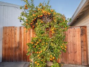 765 Enright Avenue, Santa Clara CA 95050