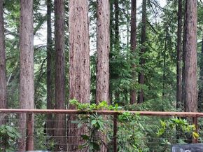 9913 Alba Road, Ben Lomond CA 95005