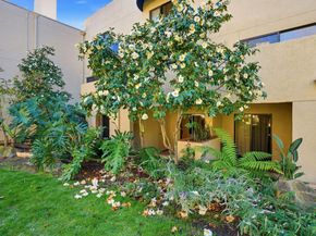 153 California Avenue F107, Palo Alto CA 94306