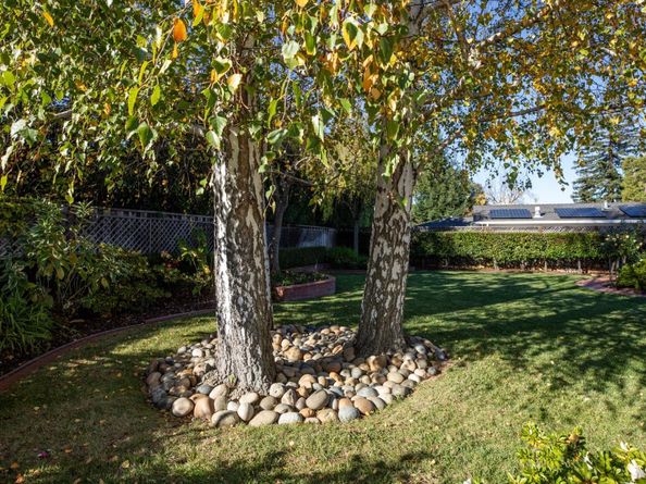 668 Tomi Lea Street, Los Altos CA 94022