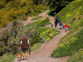 750 Beechwood Drive, Daly City CA 94015