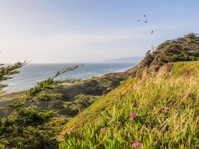 750 Beechwood Drive, Daly City CA 94015