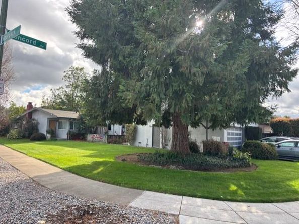 704 Concord Avenue, San Jose CA 95128