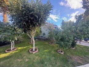 1010 Polk Lane, San Jose CA 95117