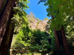 144 Monaco Lane, Boulder Creek CA 95006