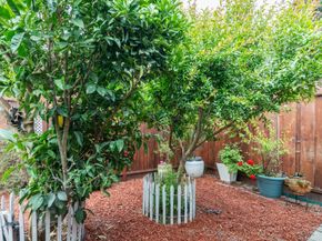 293 Florida Avenue, San Bruno CA 94066