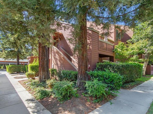 674 Teatree Court, San Jose CA 95128