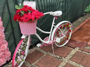 2737 NW 13th Ave, Miami FL 33142