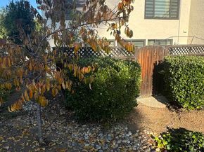 6649 Bunker Hill Ct, San Jose CA 95120