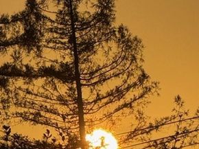 4271 Whittle Ave, Oakland CA 94602