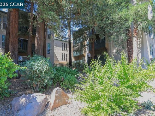 185 Sierra Dr 314, Walnut Creek CA 94596