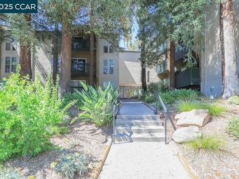 185 Sierra Dr