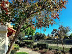 3080 Casadero Ct, Pleasanton CA 94588