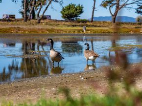 206 Cottage Ave, Richmond CA 94803