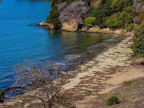 206 Cottage Ave, Richmond CA 94803