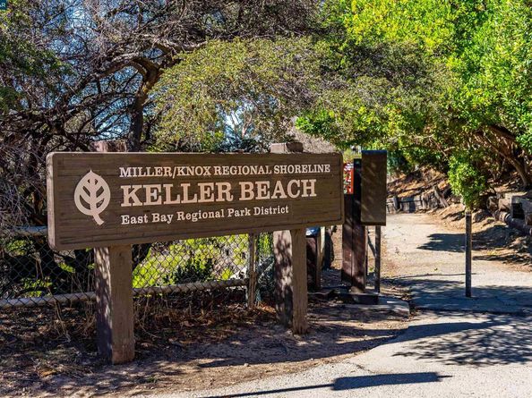 206 Cottage Ave, Richmond CA 94803