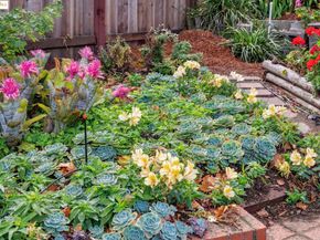 3873 Coolidge Ave, Oakland CA 94602