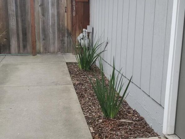 38030 Dundee Cmn, Fremont CA 94536