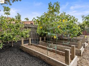 891 61st ST, Oakland CA 94608