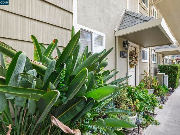 394 Ilo Lane 303, Danville CA 94526