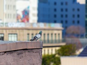 330 13th Street 5C, Oakland CA 94612