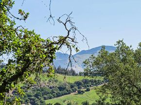 3391 Woodview Dr, Lafayette CA 94549