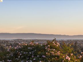 7843 Outlook Ave, Oakland CA 94605
