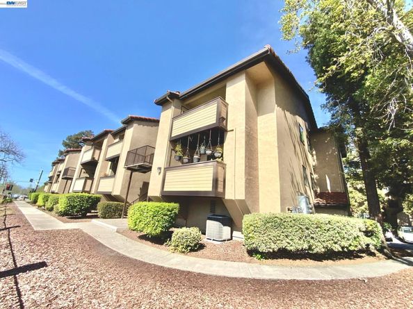 93 Shaniko Cmn 24, Fremont CA 94539