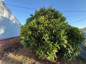 1362 Esser Ave, San Leandro CA 94579