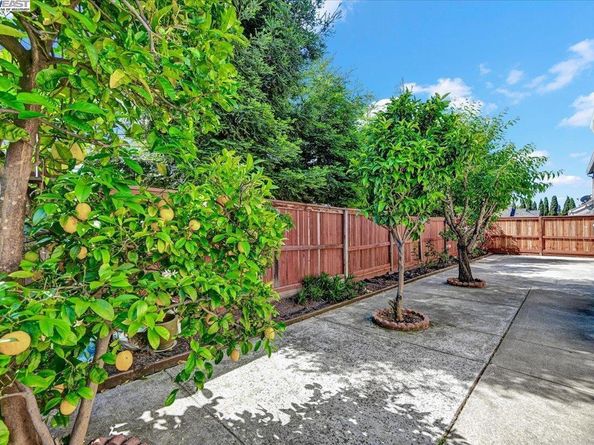 16230 Calypso Ct, San Leandro CA 94578