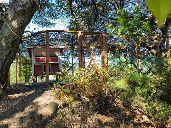 40 Hilldale Ct, Orinda CA 94563