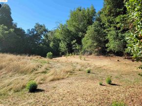 40 Hilldale Ct, Orinda CA 94563
