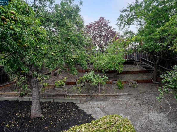155 Saint Vincent Ct, Danville CA 94526