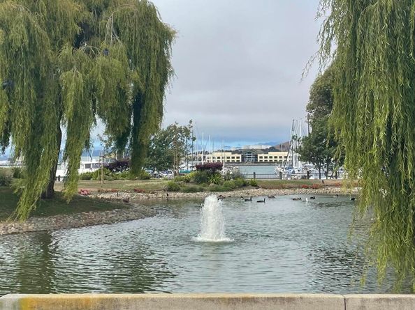 150 Shoreline Ct, Richmond CA 94804