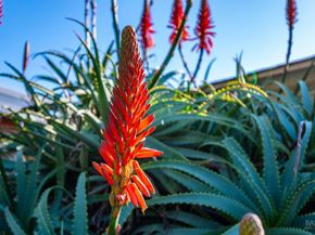 2211 Wilcox Avenue, San Pablo CA 94806