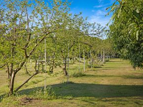 3057 D Road, Loxahatchee Groves FL 33470