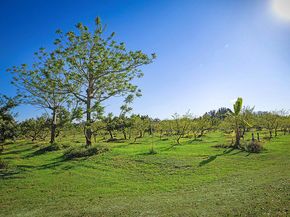 3057 D Road, Loxahatchee Groves FL 33470