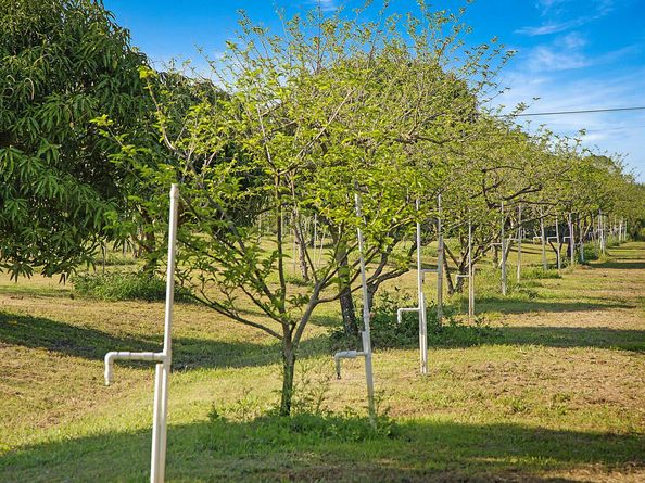 3057 D Road, Loxahatchee Groves FL 33470