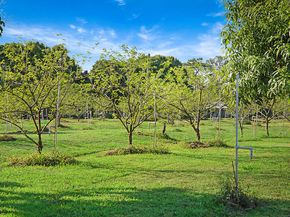 3057 D Road, Loxahatchee Groves FL 33470