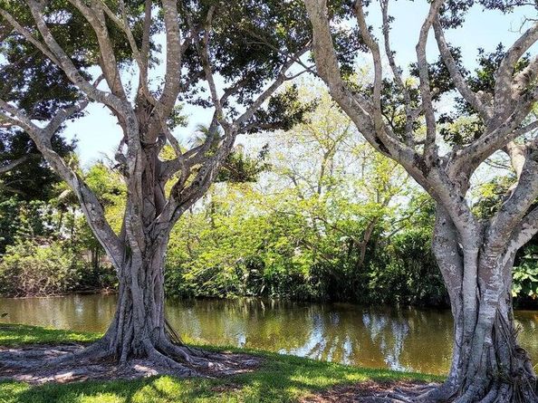 12019 W Greenway Dr 203, Royal Palm Beach FL 33411