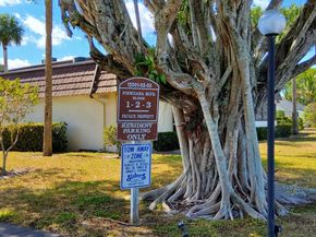 12003 Poinciana Boulevard 204, Royal Palm Beach FL 33411