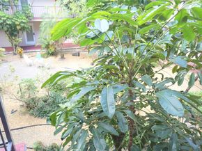 2821 Somerset Dr 203, Lauderdale Lakes FL 33311