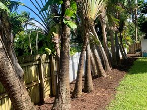 1423 Crest Drive, Lake Worth FL 33461