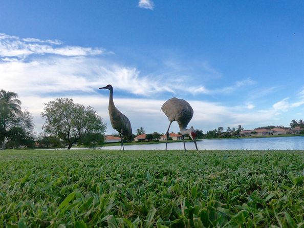 7163 Grassy Bay Drive, West Palm Beach FL 33411