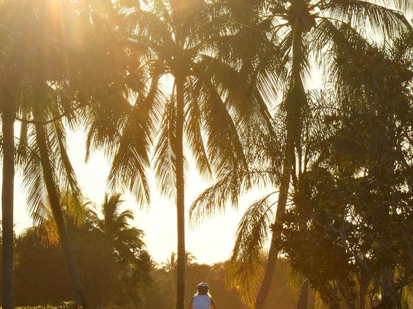 7163 Grassy Bay Drive, West Palm Beach FL 33411