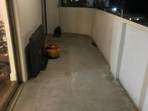 110 S Shore Dr 5C, Miami Beach FL 33141