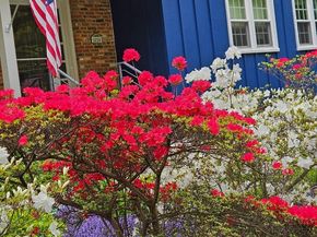 1438 Brookhaven Drive, Mclean VA 22101