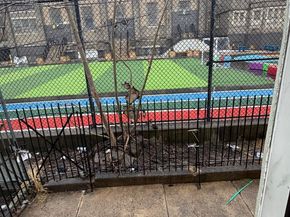 1850 E Clementine Street, Philadelphia PA 19134