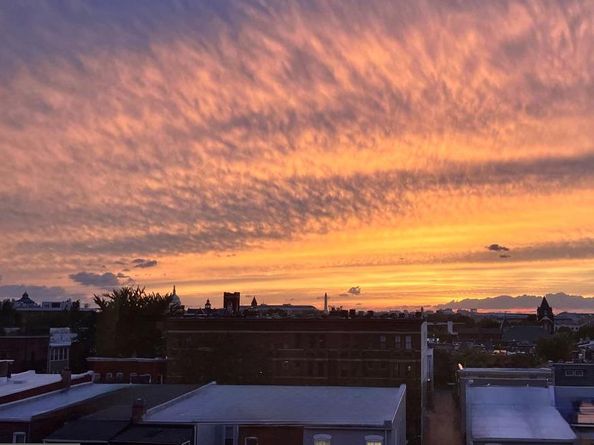 440 12TH Street NE 308, Washington DC 20002