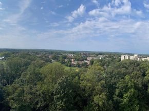 203 Yoakum Parkway 1807, Alexandria VA 22304